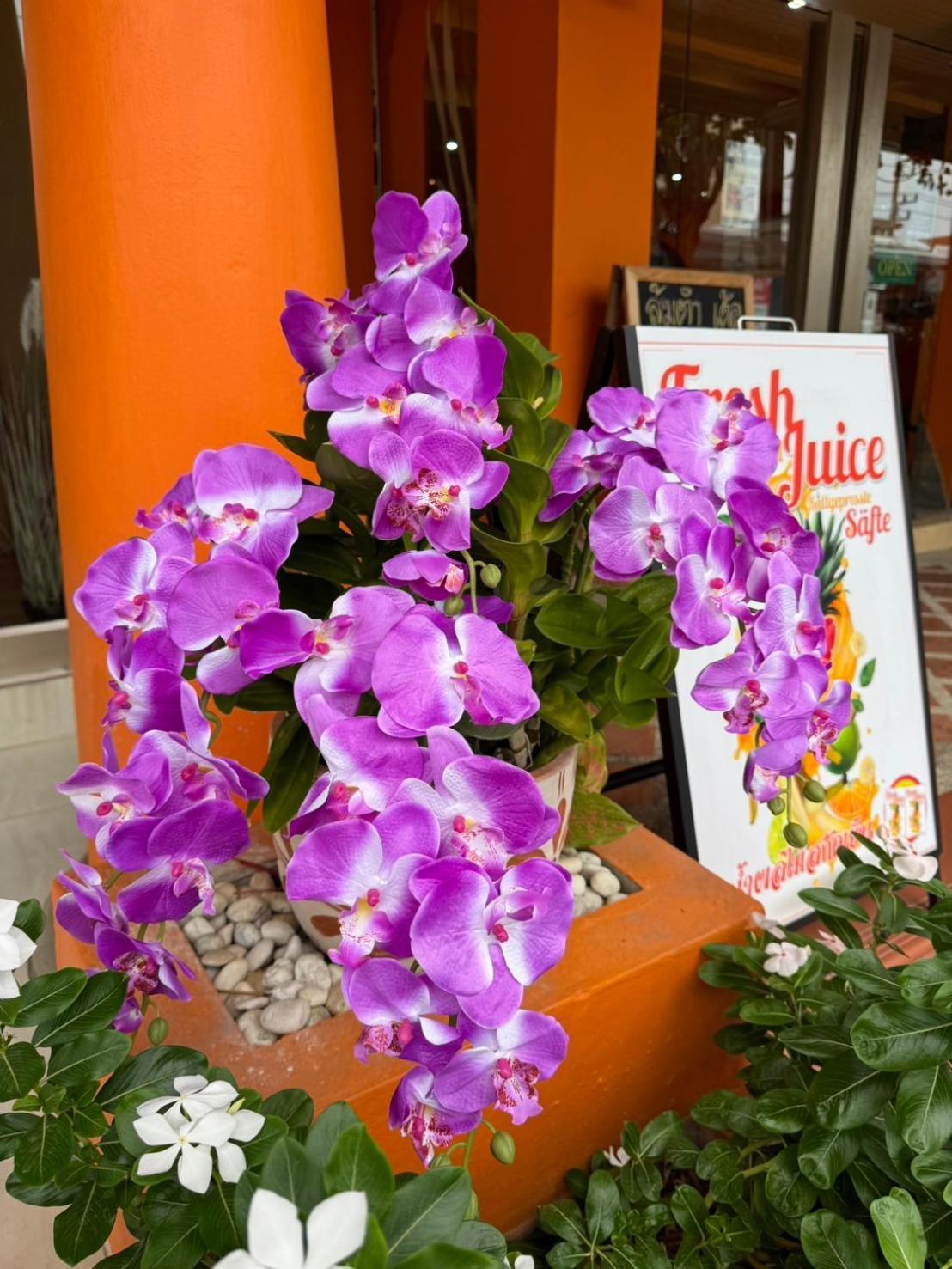 Venice Hotel Huahin Kültér fotó